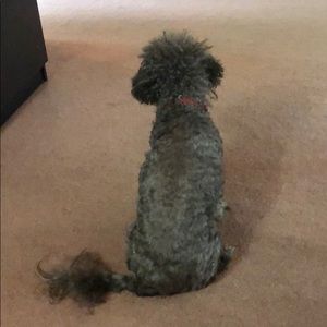 Meet your Posher, Alyx